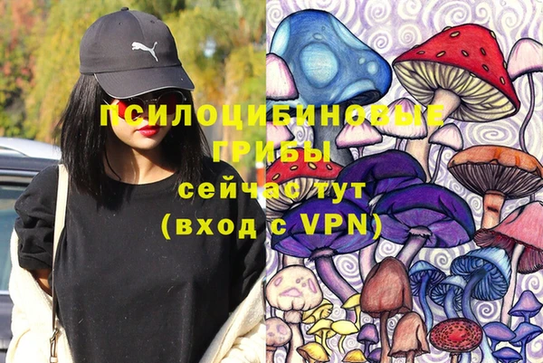 винт Медвежьегорск