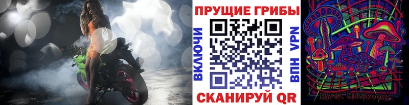 Галлюциногенные грибы ЛСД  KRAKEN ТОР  Тайшет 