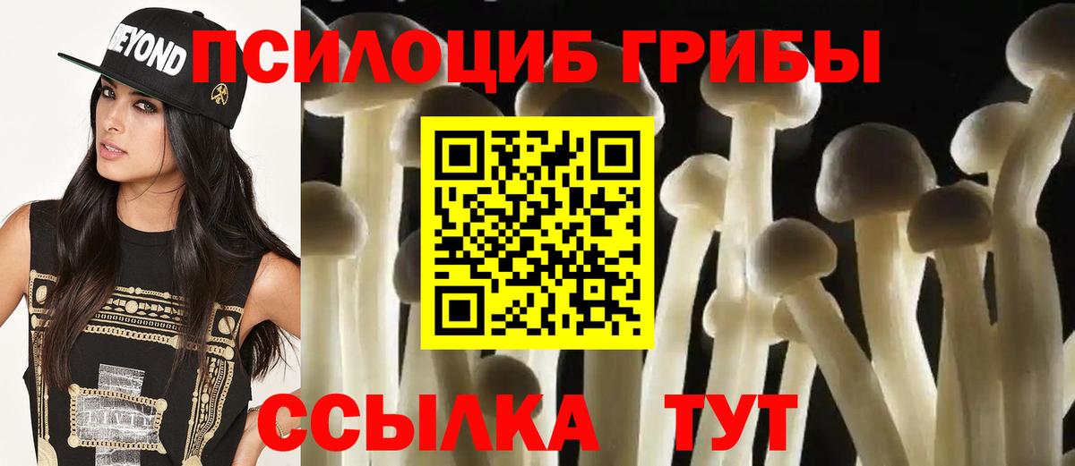 Галлюциногенные грибы мухоморы  Тайшет  Псилоцибиновые грибы GOLDEN TEACHER 