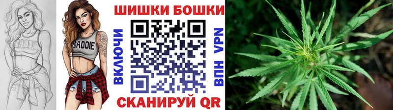 Марихуана сатива kraken зеркало Тайшет дарнет шоп
